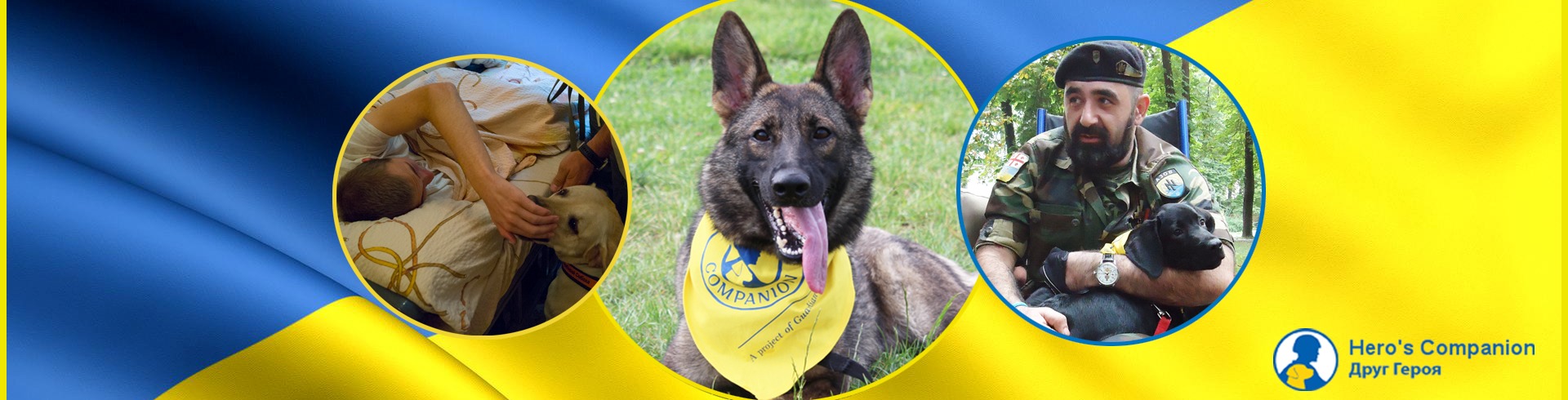 Реабілітація ветеранів АТО методом каністерапії 