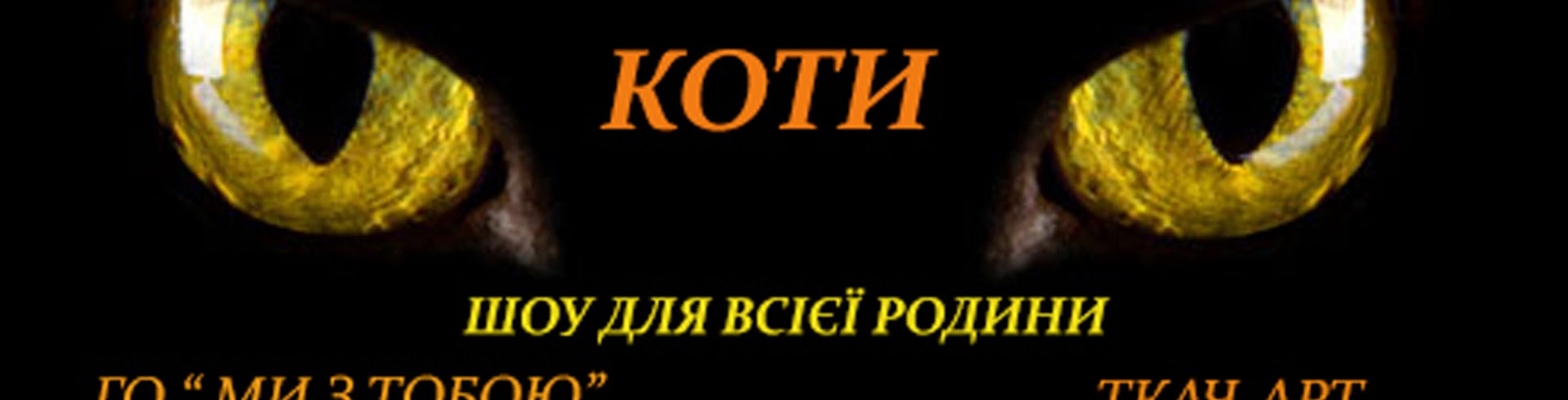 Соціальна вистава 