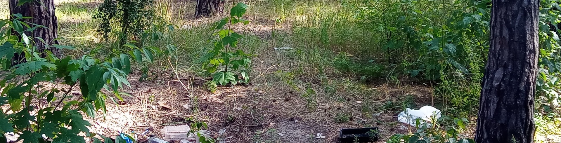 Толока/Trashtagchallenge